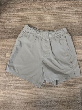 Hollister Men's Athletic Shorts in Light Gray